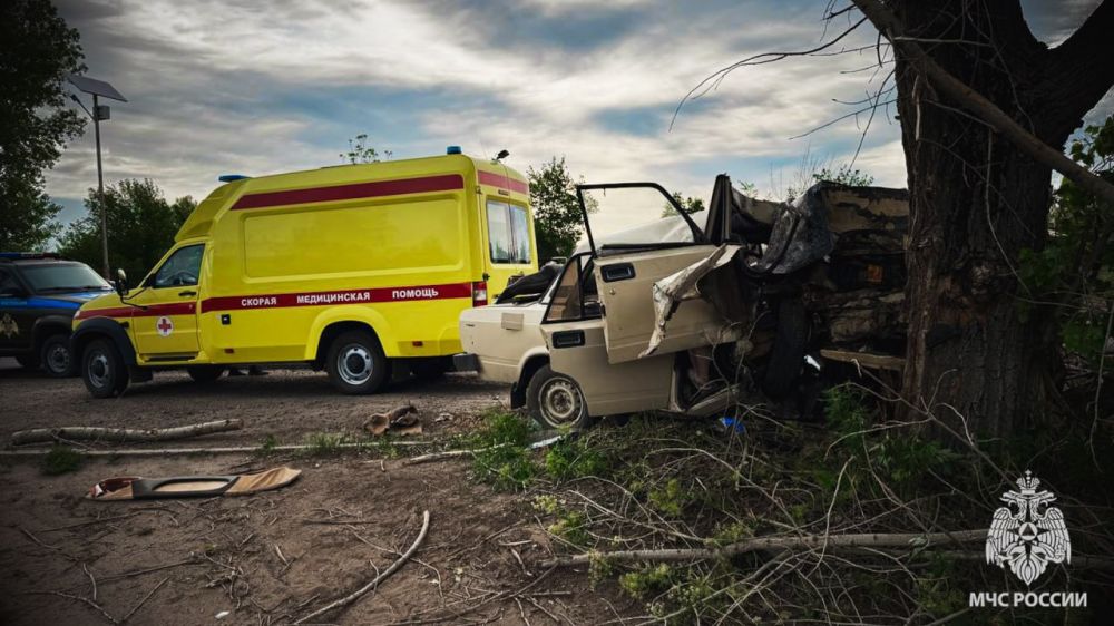 ��� � ������� ���������: ���� �����, ���� ����������