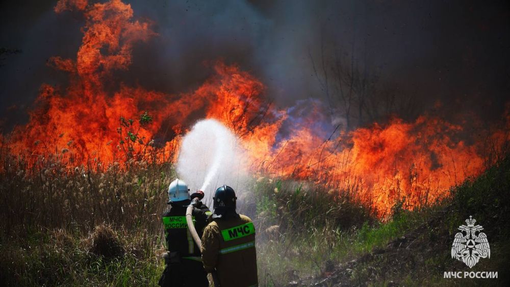 ��������� �������� ����������� ����� �� 10 �������� � ��������