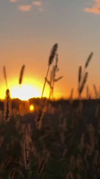 ��������� ����� � �������, �� �������� � ���� ������ ����!