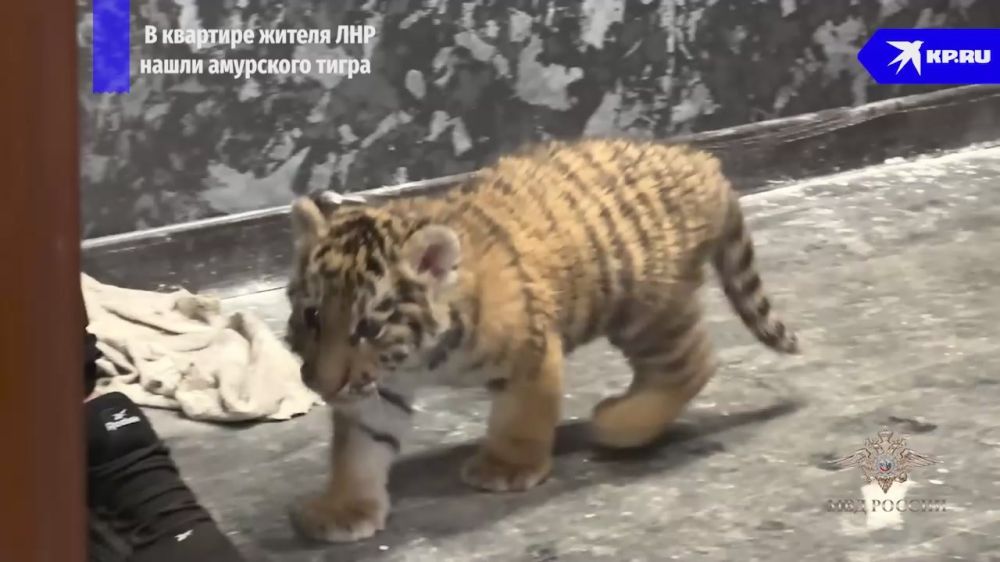 � �������� ������ ��� ���������� �������� �������