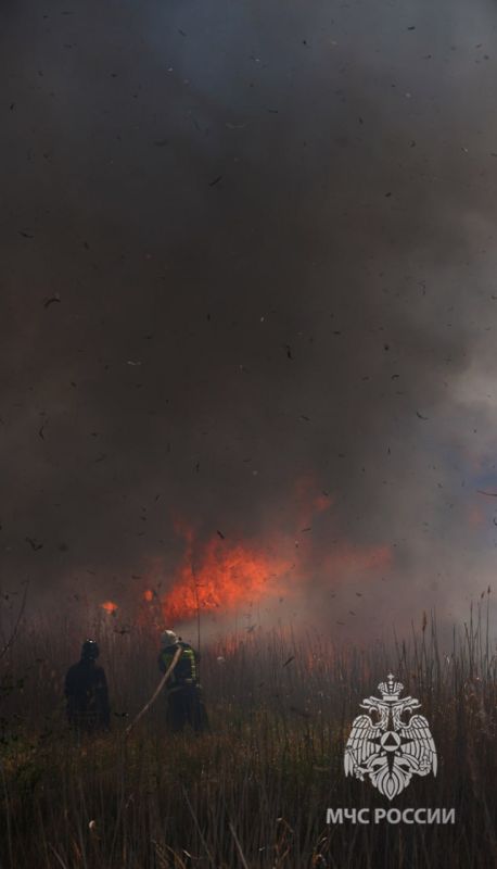 ����� 40 �������� ���������� �������� �� �������� ������ � ���