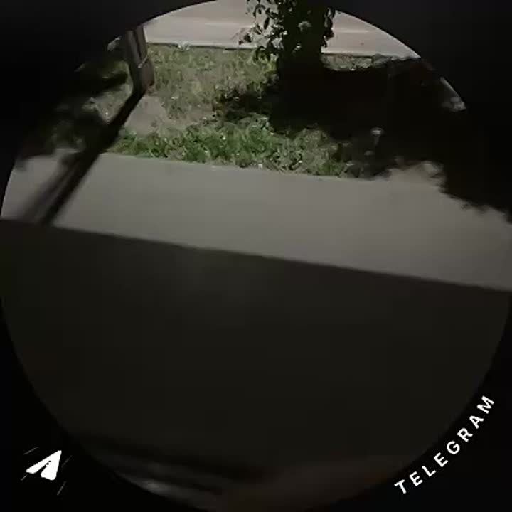 ����� �������� - ����������� �������������