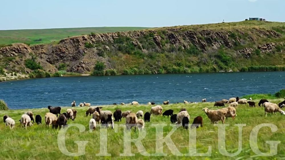 � ����������� ����� ������ ������!