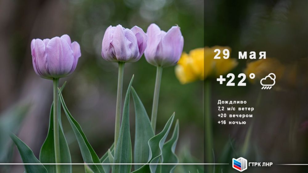 ������ ����, ��������� �������� ����������!