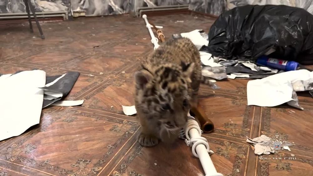 �������������� ��������� ������� ������ � ����� �� ������� ���������