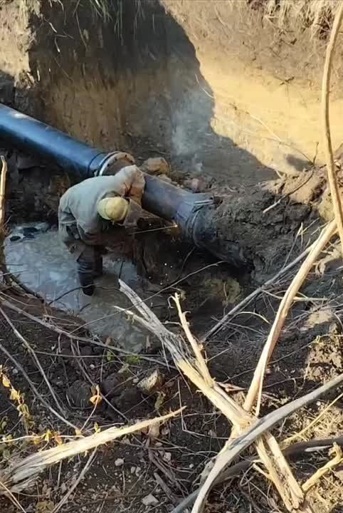 ���������� ��� ��� ������������ ��������� ������ ���������� ���������� ������� ��������, ��������������� ������������� ���