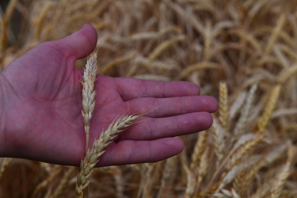 ������� ��� ������� ������� ������������ � ���