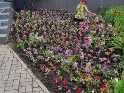 ����� 30 ����� ������������ �������� ������ ��������