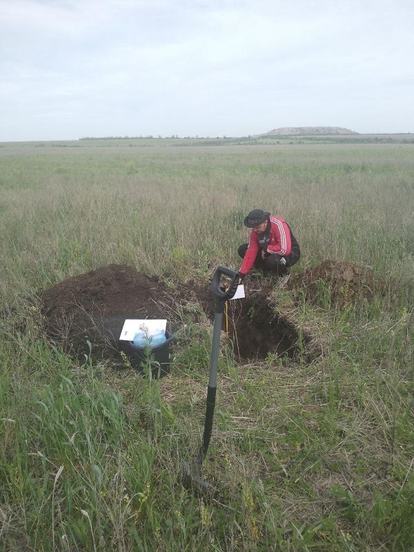 � ��� ��������� 5 ���. �� �������������� �����