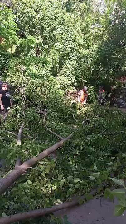 ����������� ���������� ������� ��� ���������� ������: