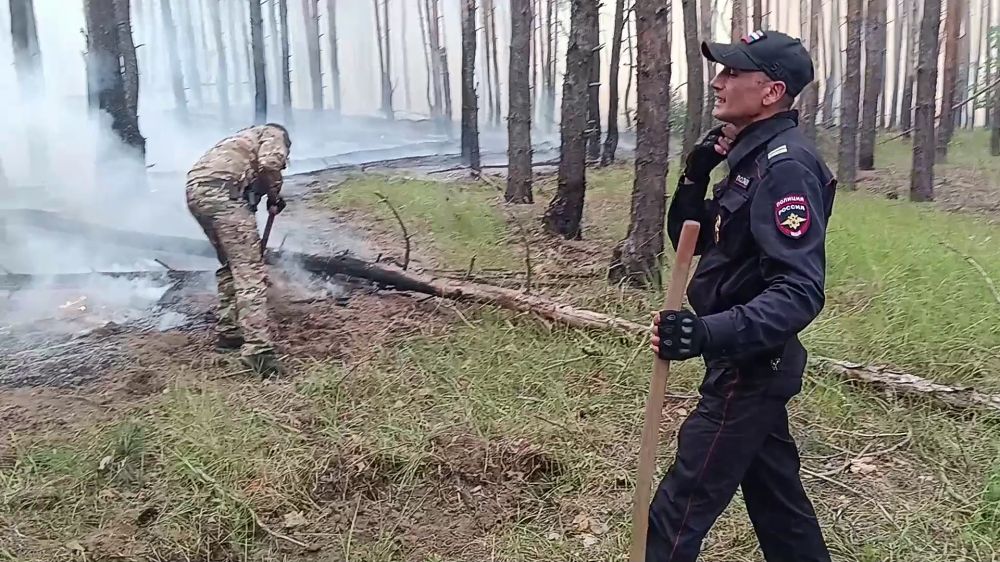 � ��� ����������� ������� ���������� �������� ����� � ������ ������� ������ ������ �������