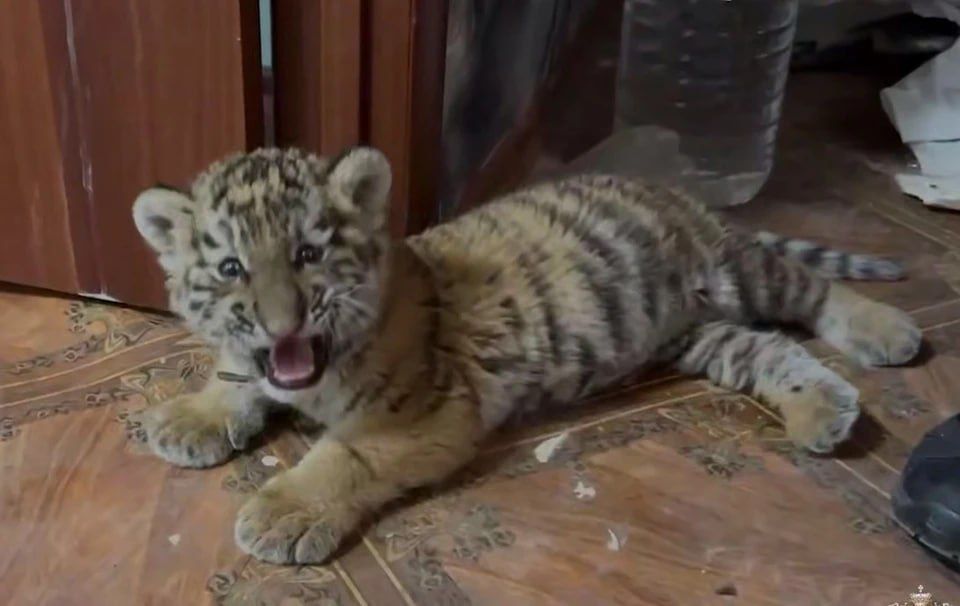 ������� �� ��� ������ ��� � �������� ����� ��������