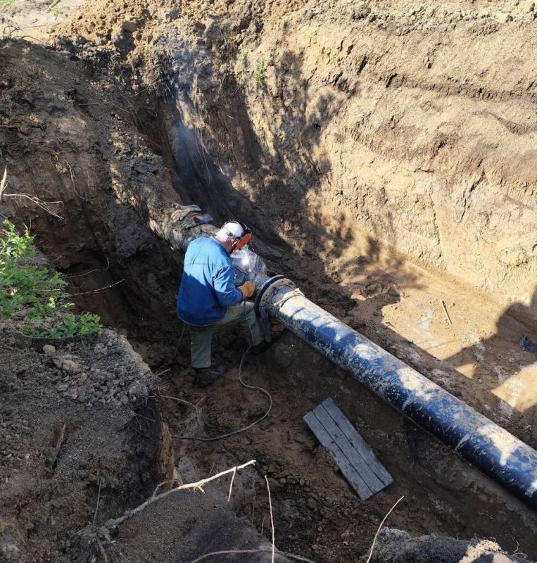 � ����������� ������ "�����������" �������� ��������� ��������� ������� ��������