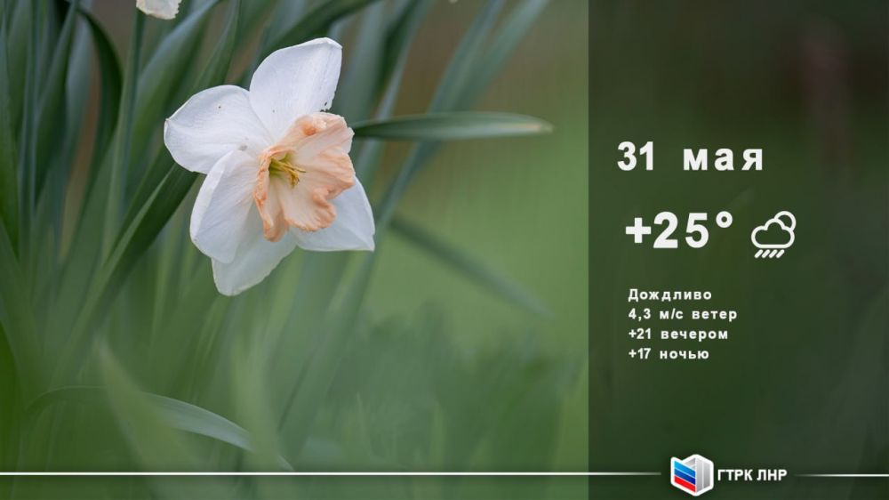 ������ ����, ��������� �������� ����������!