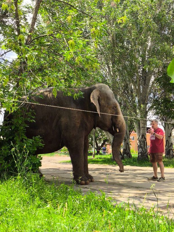 #* �������� ���������� �������� �� �������� � ����� ����: