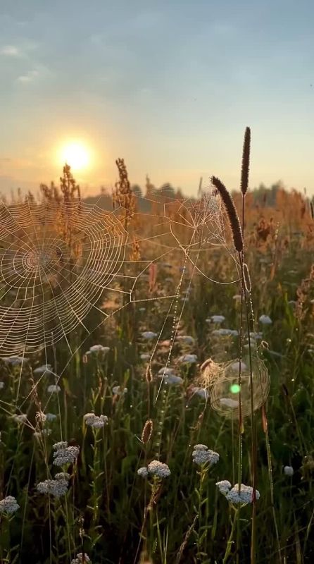 ������� � ������ ������ � ������ �� ���