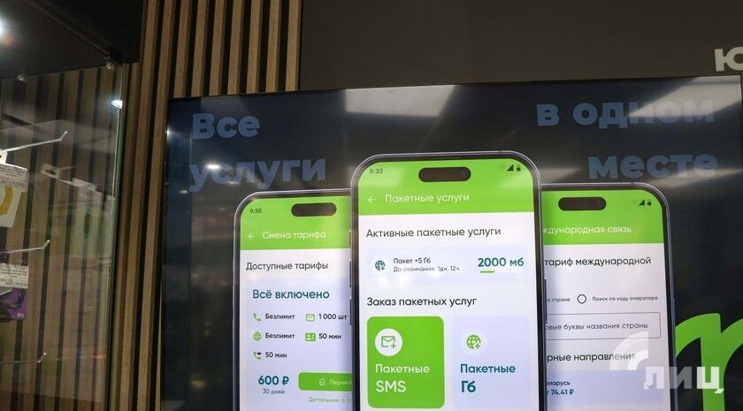 ��� �� ����� ���� ������� ��� ���� ������ ������������ ���������