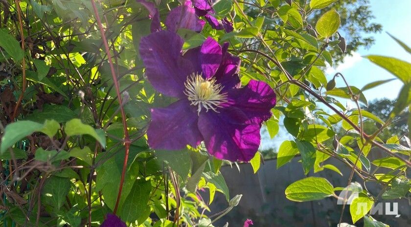 ��������� ������������ 3 ���� � ��� �� 31 ������� �����