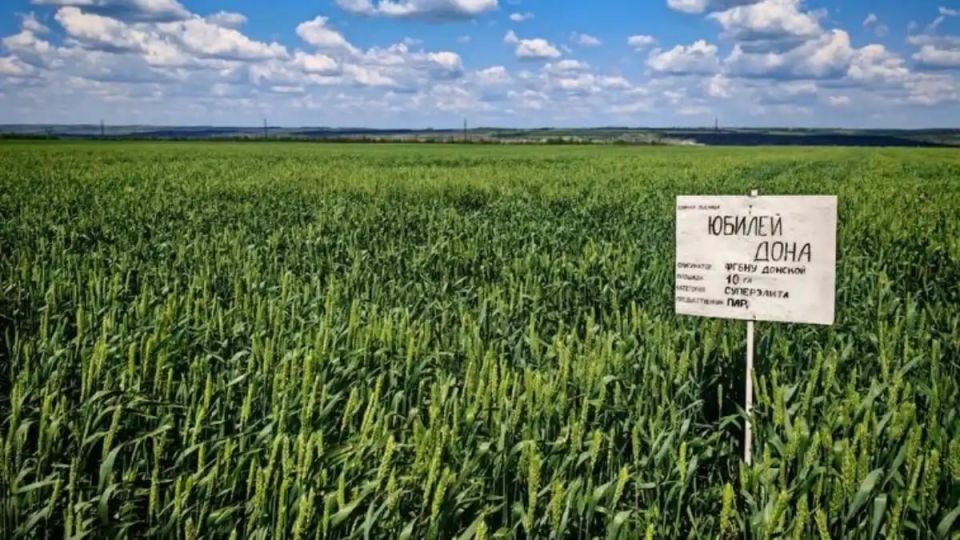 ��������� ����� ������ ������ �������� �� ����� ���