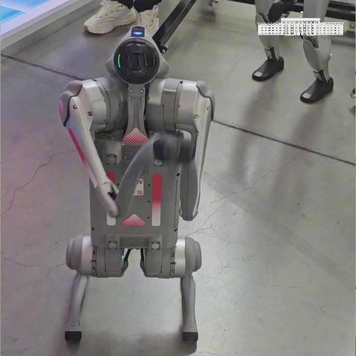   .        I-    -2025,       -       , ...