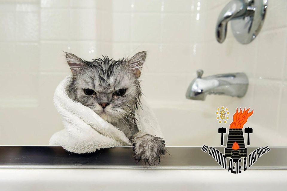 �� �������� ������� �� ������ ��� ����