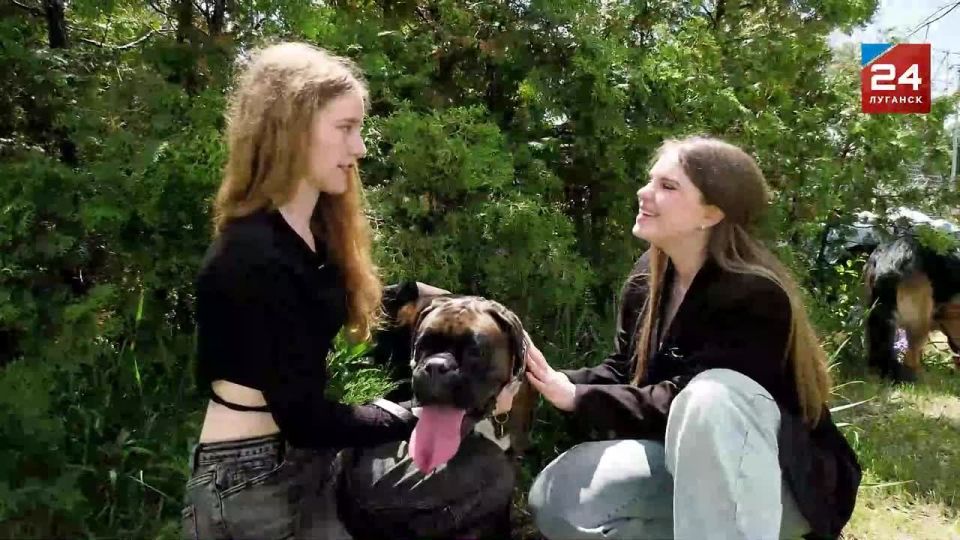 ���������� ����� � ������������ �������� ����� ���� �����