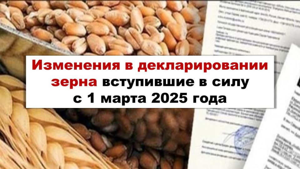 ��������� � �������������� �����