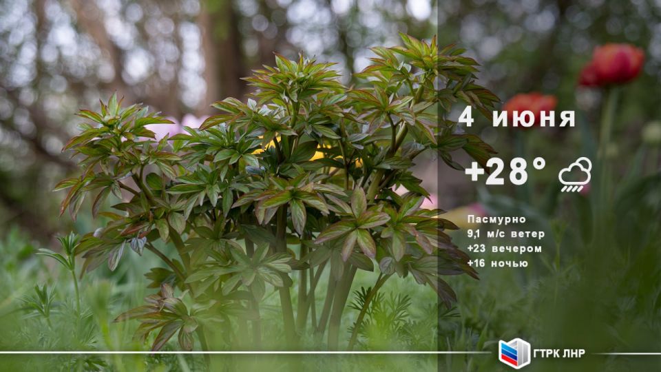 ������ ����, ��������� �������� ����������!