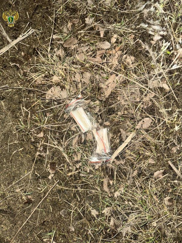 � �������� 29-������ ������� ���������� ����� ����� �� ��������� �� ���������� ���� ������������� ������� � ������� �������