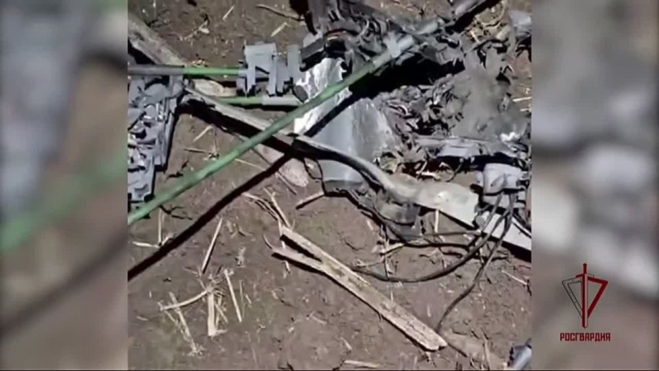 � ��� ������� ���������� ��������� ���� ����������