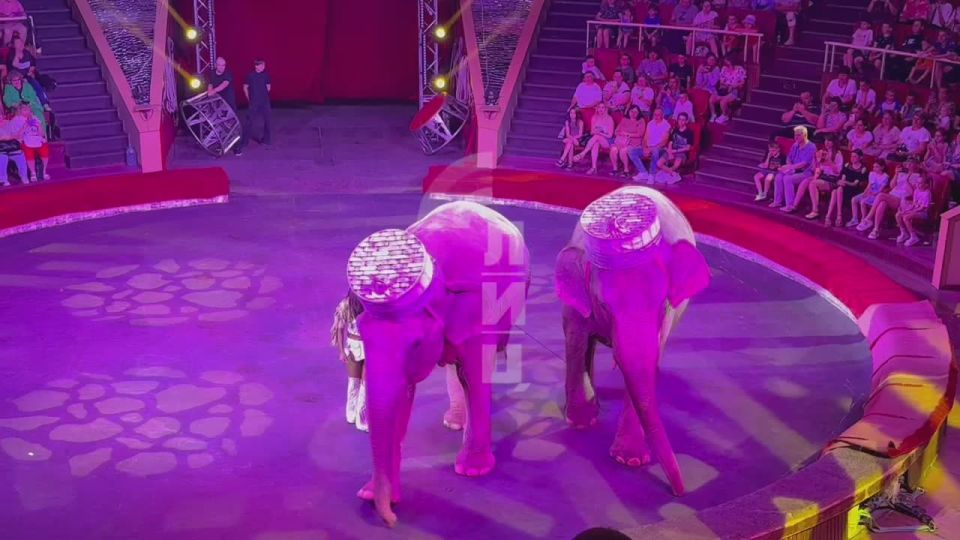 ��� ����� ������������� ���� ������ ������ �� ����� ���������� �����