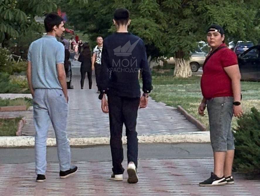 В Краснодоне полиция установила личность несовершеннолетнего хулигана из парка