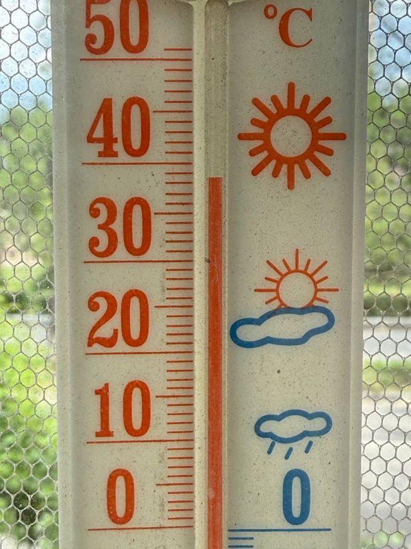 �������. ����� 40 � ����. � � ������ ������� ���������� ������ � ������������