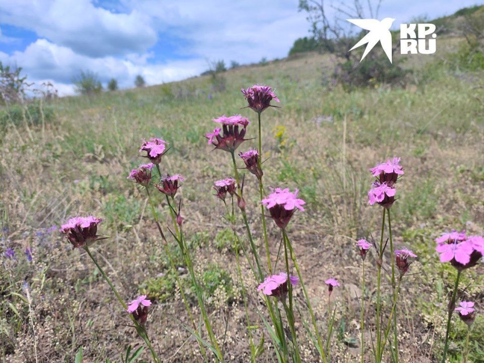 +36 �� ���� ����������. ��������� ������� 8 ���� ������ � ����� ������