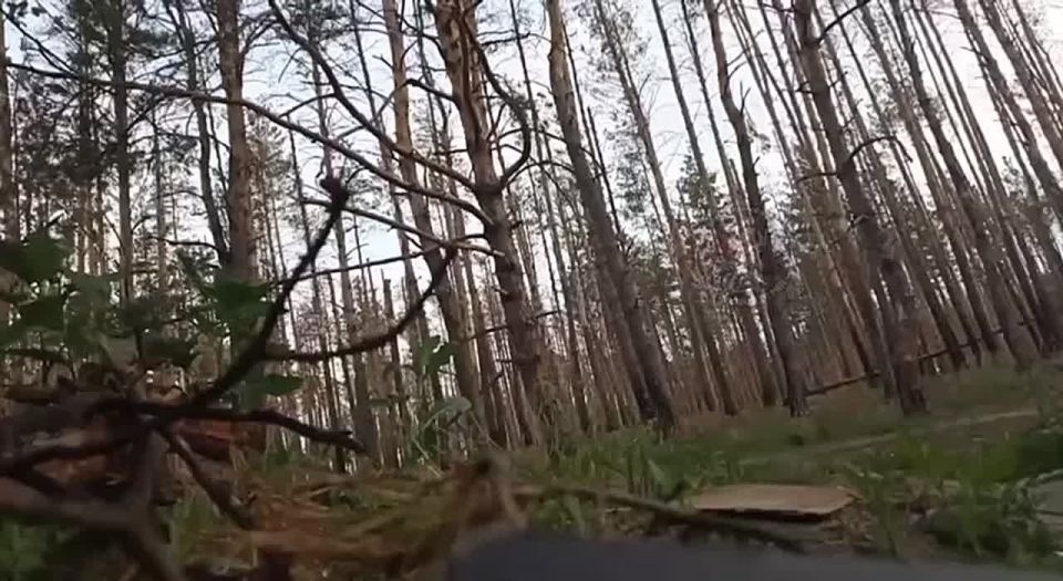 ������� �������� �������� �������