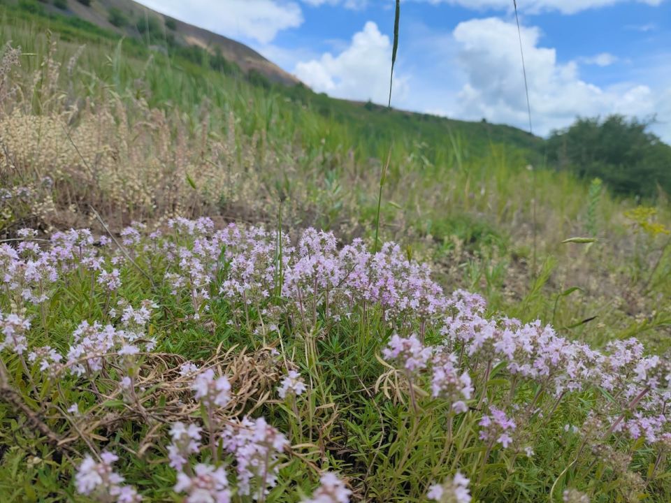 �������� ��������� ������ ����������, ��� � ��� ��� �������� ����������� ����������� ����� �� 40-��������� �������