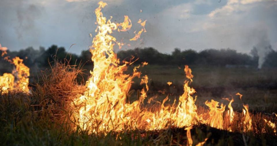 �� ����� 8 ���� � � ������� 9 ���� �� ������ ���������� �������������� ������������ ��������������� - 5 �����