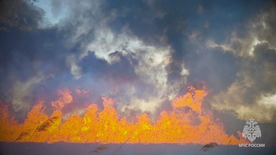 �� ����� � ��� �������� 33 ������ � ����������