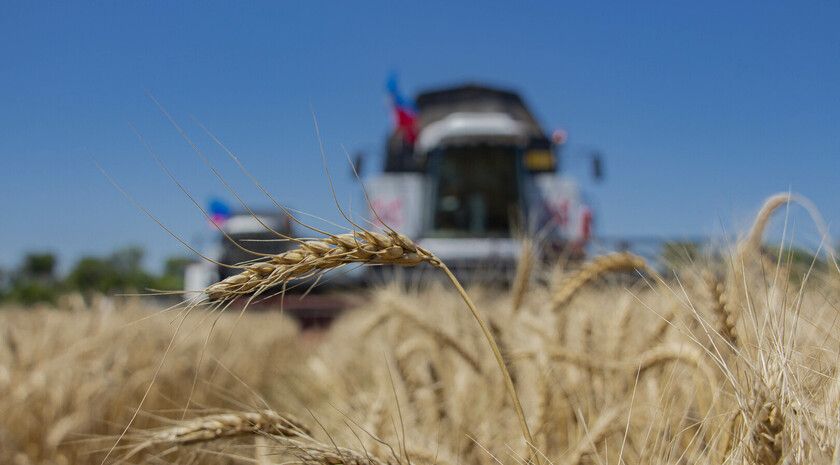 ���� � ������� �� �������� �������������� � ��� � ���������������