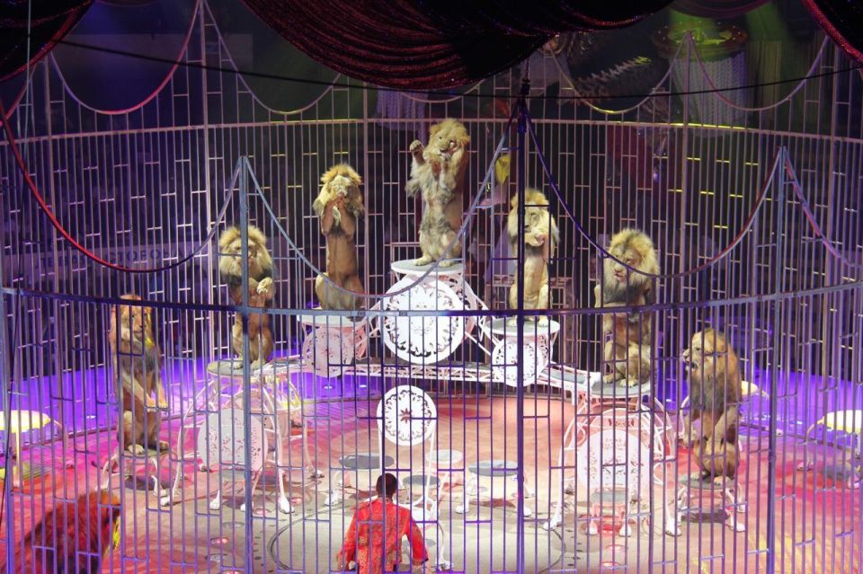 � ��������� �������� ���������� ���������� �������� �����������