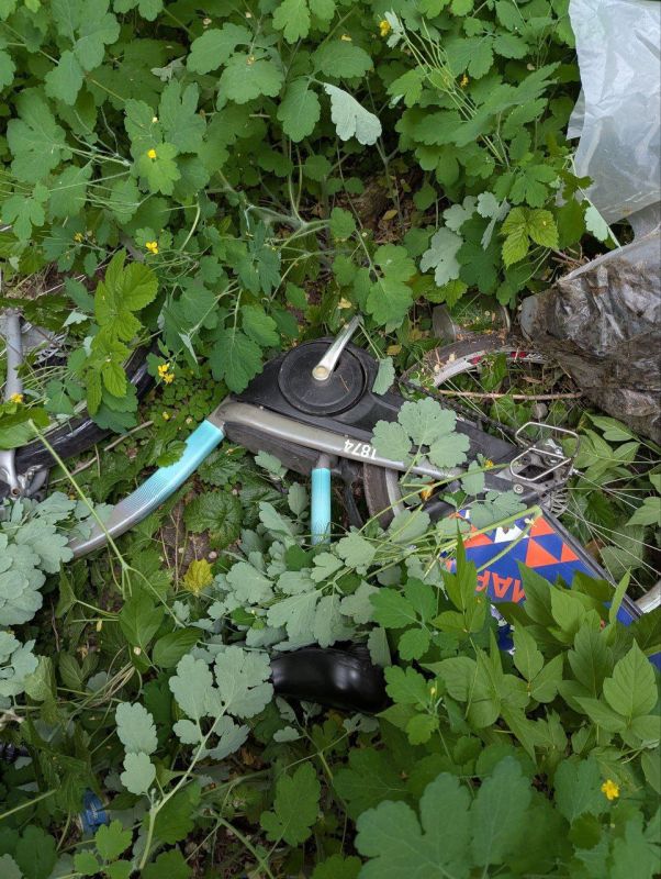 �� ��������� ������������ ��������� ������ �����