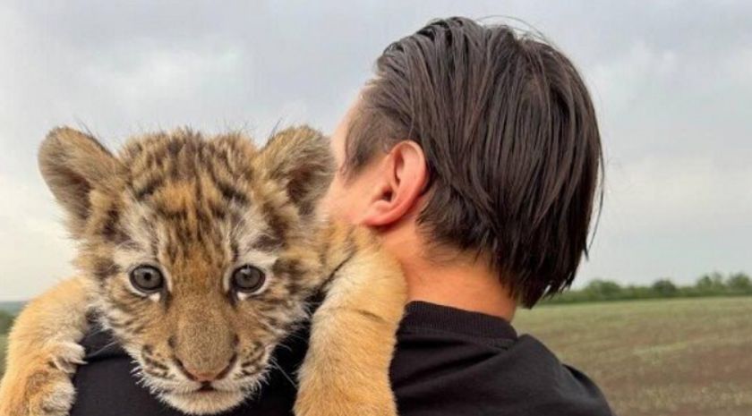 ������������� ��������, ������� � ������ ���������, ���������� � ���� ����� � ����������