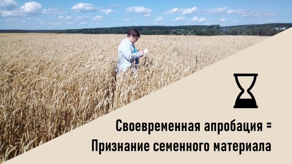 ������ � ����������! ������ �������� �������� �������� ������� � ���