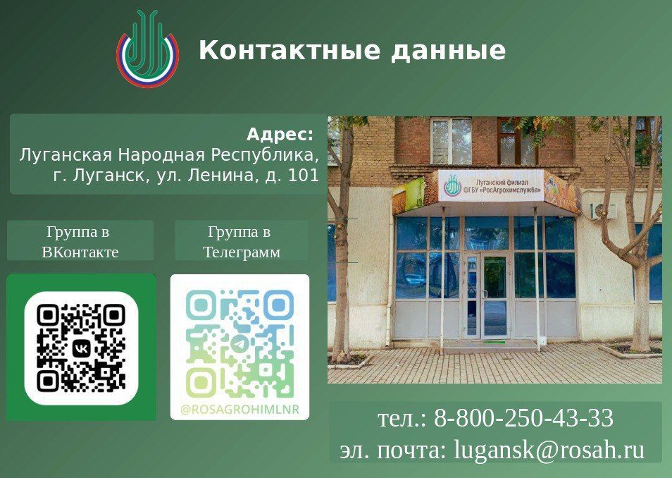 Ваш успех начинается с правильного ухода за почвой!