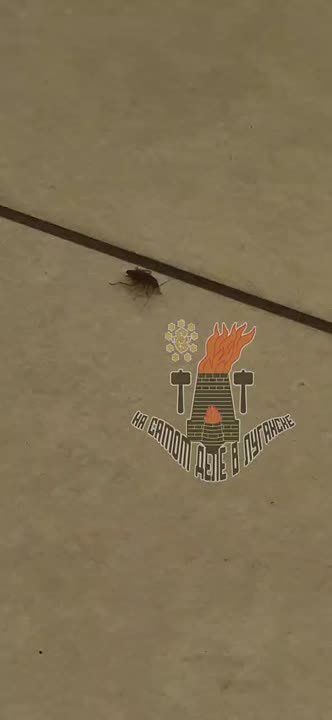 ������������� � ���� � ������ ��������