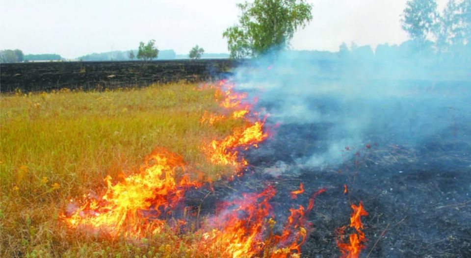 � ������ � ������ 12 ���� � � ������� 13 ���� � ��� ����������� ������� ����������� ������������� �������