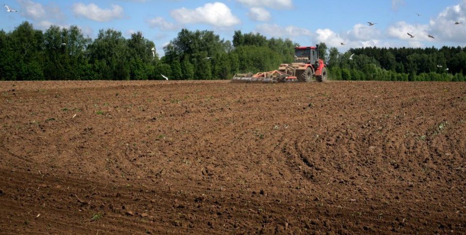 �������� ��� �������� ������ �� �������� ������