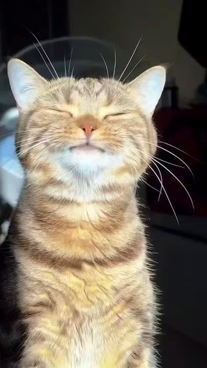 � ������� � ������ ����� �� �� ������, � ��� �����