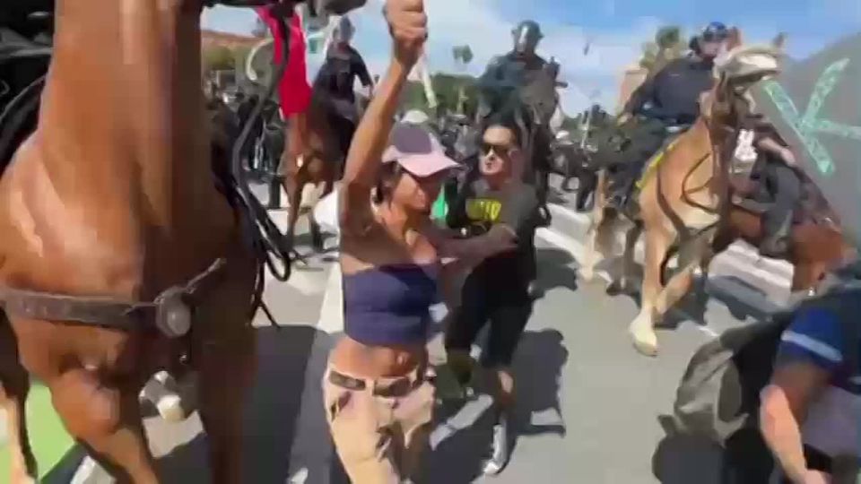 � ���-��������� ������ ������ ������� ���������� ��� ���������� ���������, ������������ ������ ����������� ������