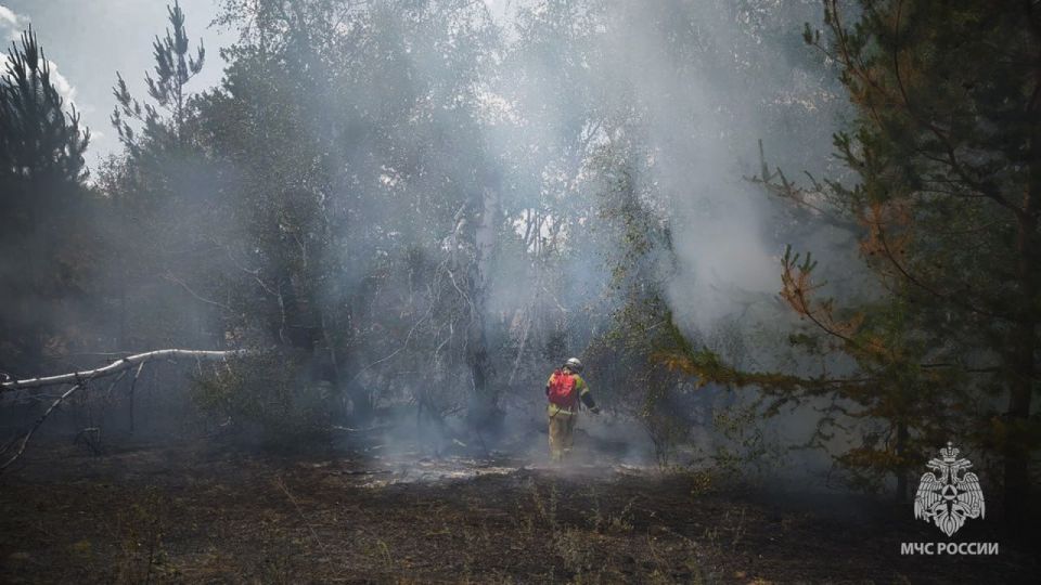 � �������� ����������� � �������� ��� ��������� ��� ������ ������������� � ��� 60 �������